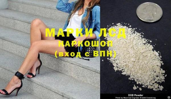 стафф Осташков