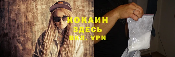 стафф Осташков