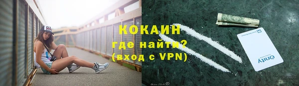 стафф Осташков