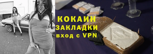 стафф Осташков