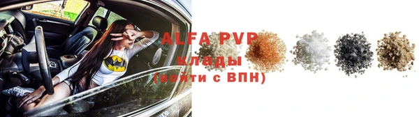крисы Пересвет