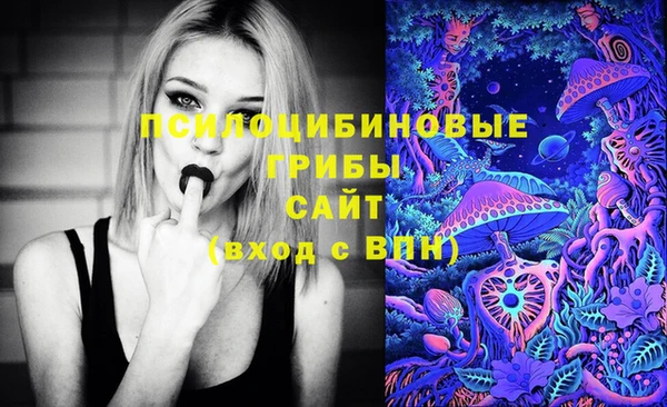 стафф Осинники