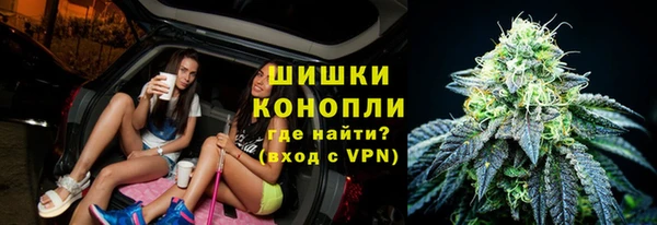 стафф Осинники