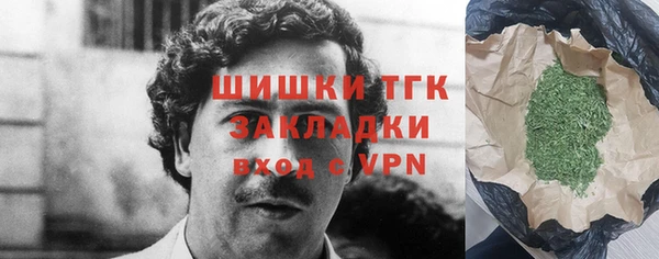 стафф Осинники