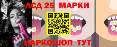 гидра Новозыбков