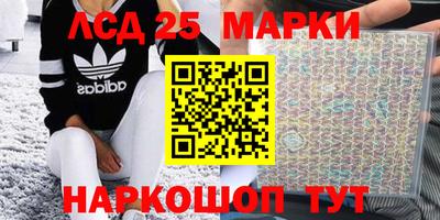 гидра Новозыбков