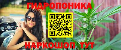 гидра Новозыбков
