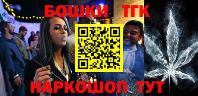 гидра Новозыбков