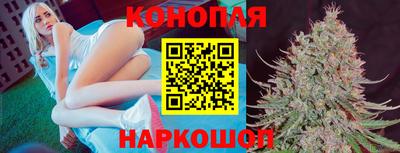 гидра Новозыбков