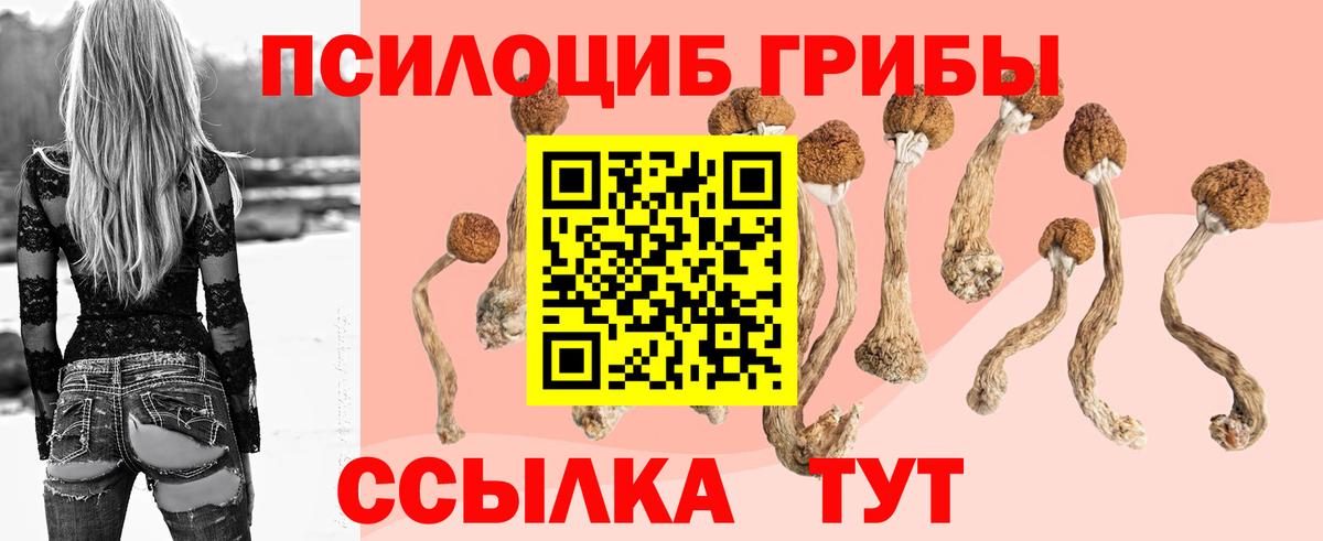 купить закладку  Псилоцибиновые грибы Psilocybe  Вход с VPN  Урай 